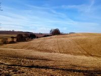 /album/foto-mesice-ii-2013/20260226-1-jpg/